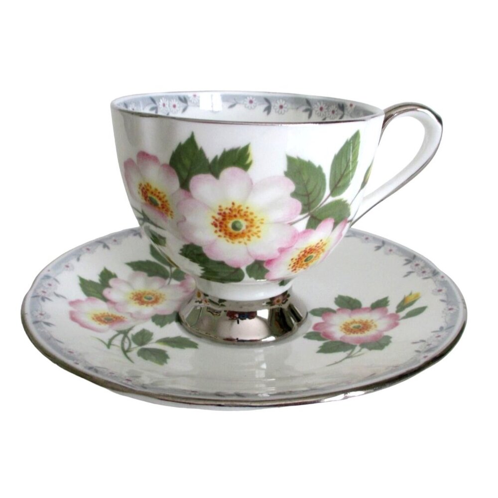 Wild Rose Bone China Tea Cup Teacup Saucer Taylor & Kent English Bone China